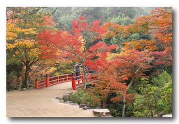 1）紅葉谷公園【宮島】727351