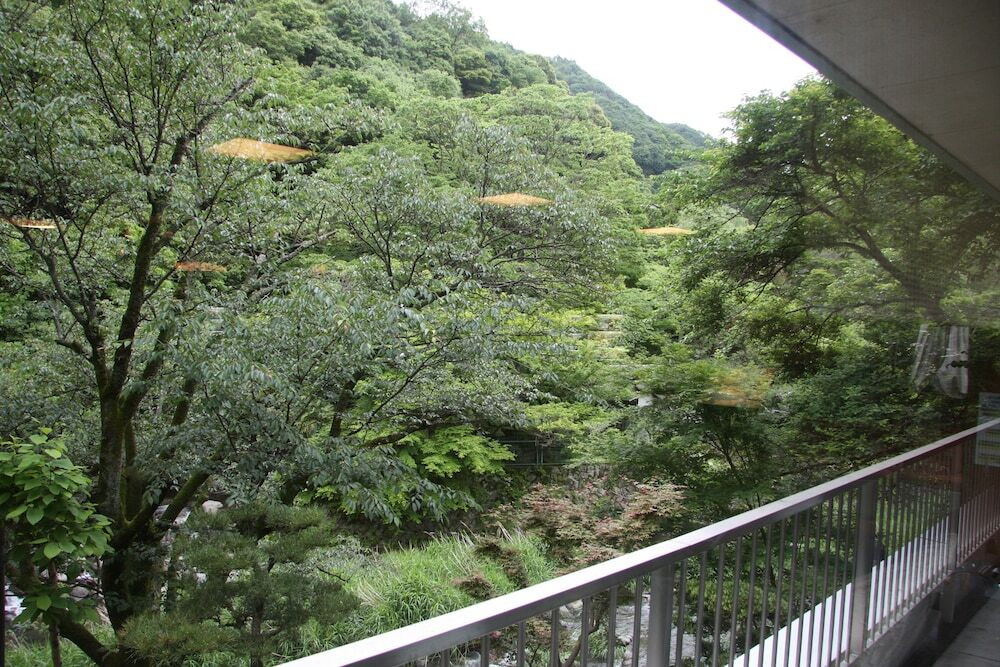 施設からの眺望