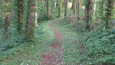 観光スポット / 8