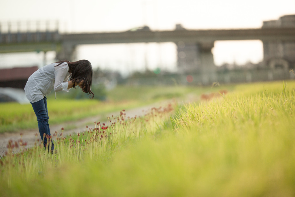 さまざまなストレス解消旅のすすめ3684533