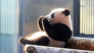 観光スポット / 7