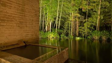 金乃竹 塔ノ澤(キンノタケ トウノサワ) / 10