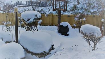 庭園・雪② / 13