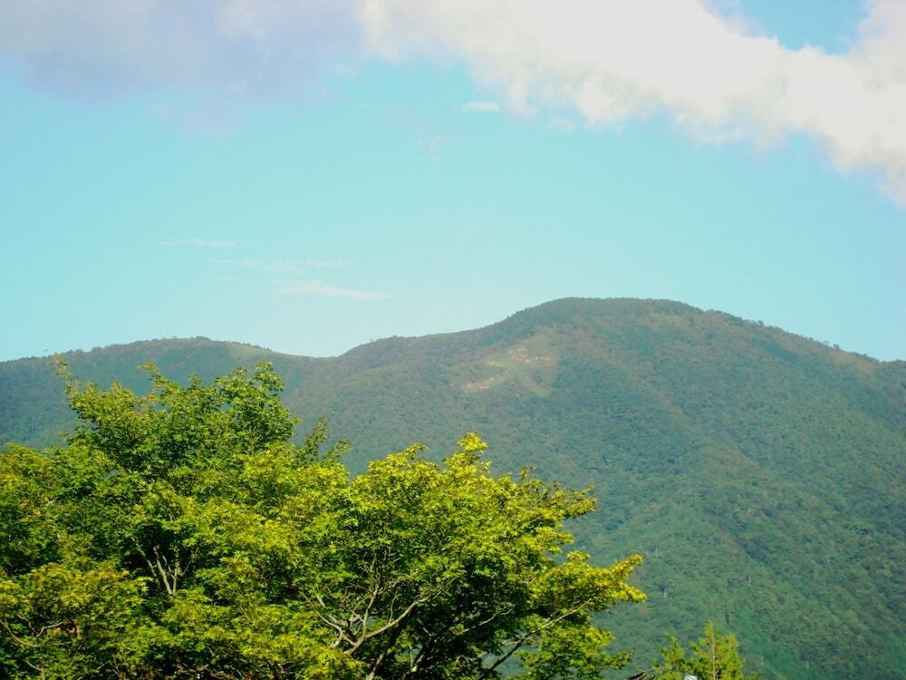 マウンテン ビュー