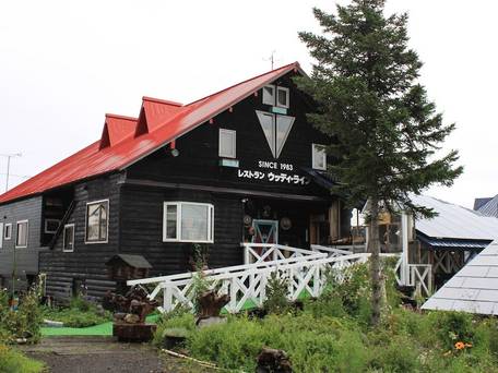 ウッディ・ライフ / 1