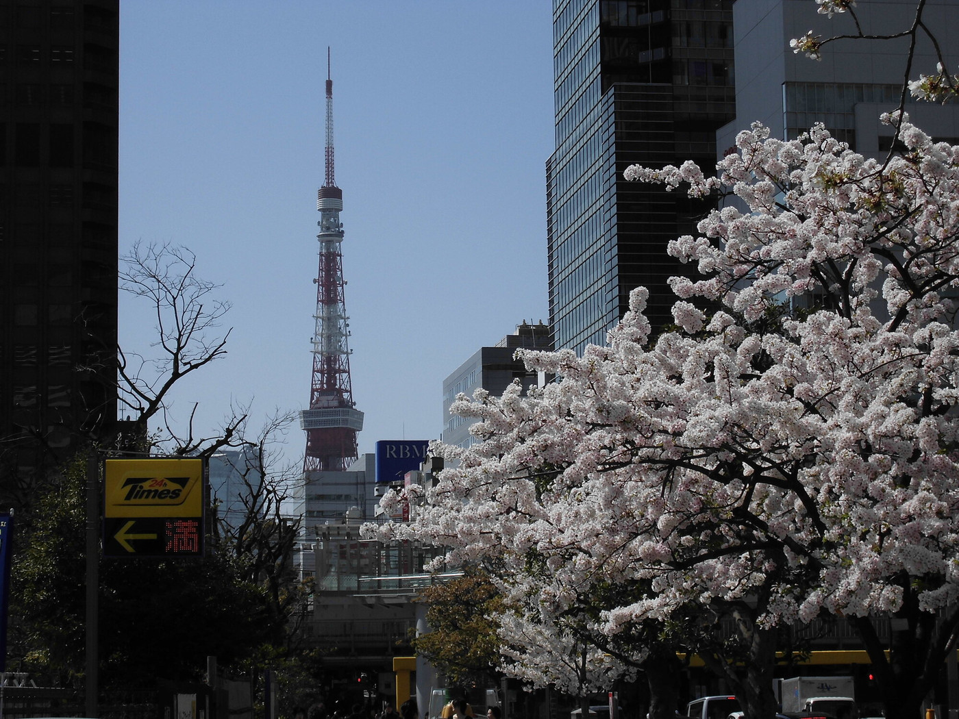 日常を特別な場所に変身させる「桜」1558813