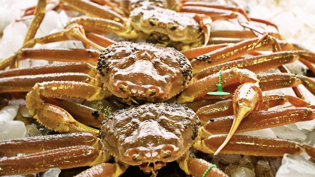 伊根の贅を味わう
お部屋で地魚料理 / 4