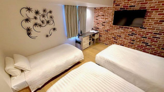 Factory Modern Comfort Twin with Sofa Bed