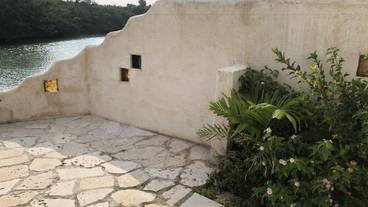 テラス / パティオ / 6