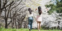 【長岡市】生命力あふれる春こそ旅にでよう。女子旅におすすめの観光スポット6選