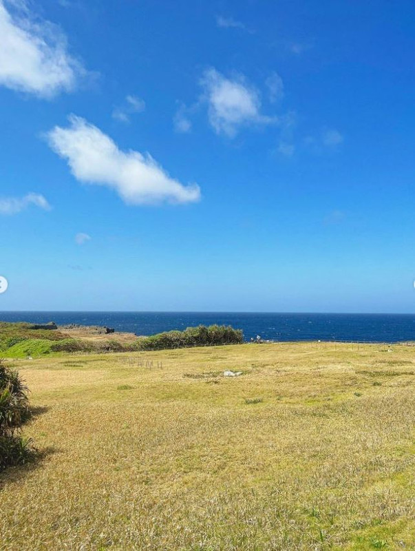 kiyomissionさんの写真 / 2