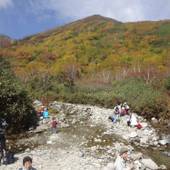 ペンション アルプス白馬（長野県 ペンション） / 5