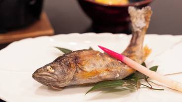 食事・飲み物 / 15