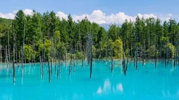 観光スポット / 3