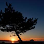 旅館 大政（佐賀県 旅館） / 5