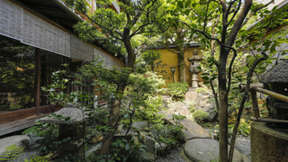 Economy (with toilet)