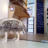 ゲストハウス アサヒカワライド（北海道 ゲストハウス・ホステル・ドミトリー） / 2