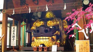 観光スポット / 11