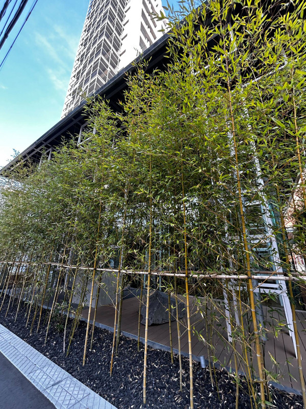 icotto_ihさんの写真 / 1