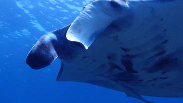 施設からの眺望 / 12