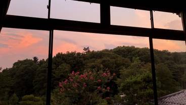 部屋からの景観 / 31