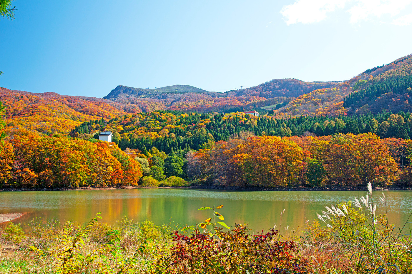 紅葉の蔵王鴫の谷地沼