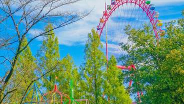 観光スポット / 7