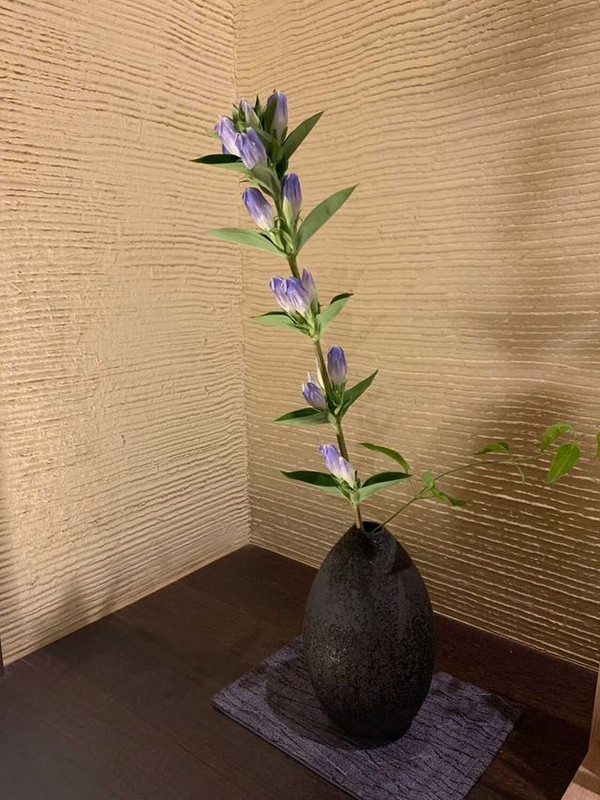 ma.ri7072さんの写真 / 4