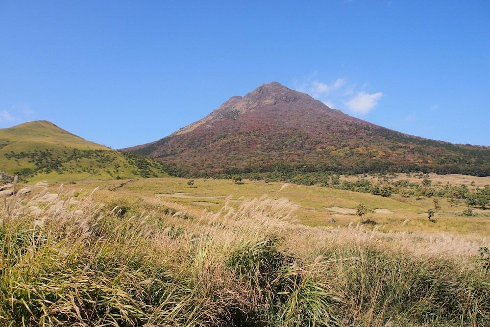 マウンテン ビュー