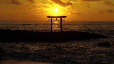 観光スポット / 7