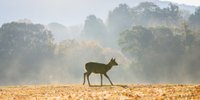 カップルで奈良を訪れるならここがおすすめ！ホテル&旅館8選