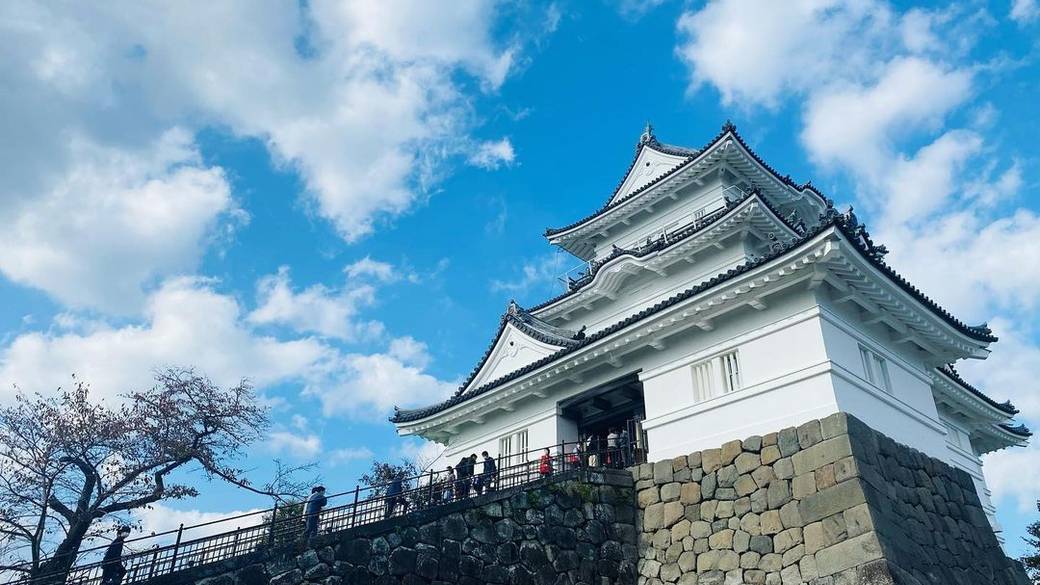 歴女にはたまらない
小田原城を観光♪ / 1