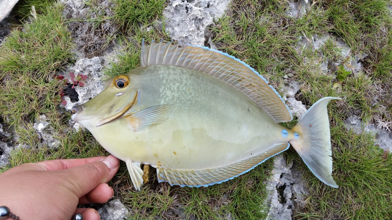 6．オーナー手作りの宿で体験型宿泊「民宿 あがた村」4278947