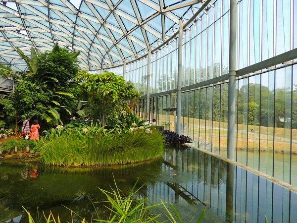 温室内の雰囲気 / 5