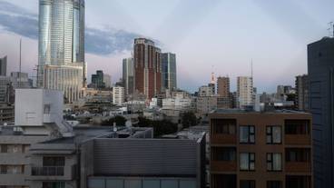 部屋からの景観 / 29