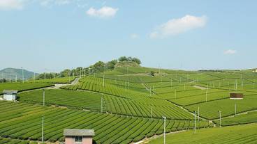 シティ ビュー / 10