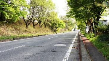 施設からの眺望 / 15