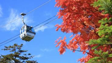 観光スポット / 8