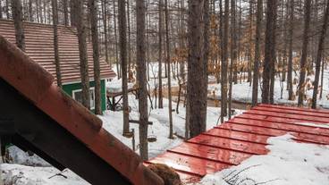 施設の敷地 / 13