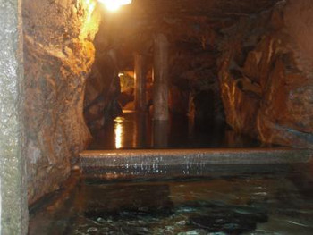 5. 仙仁温泉 花仙庵 岩の湯【須坂市】4238849