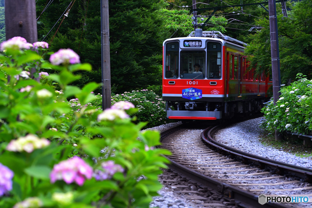 ご飯が美味しい箱根の宿に泊まって2人でのんびりと。4255168