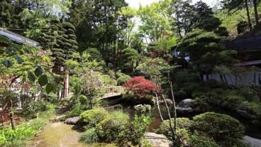 施設からの眺望 / 36