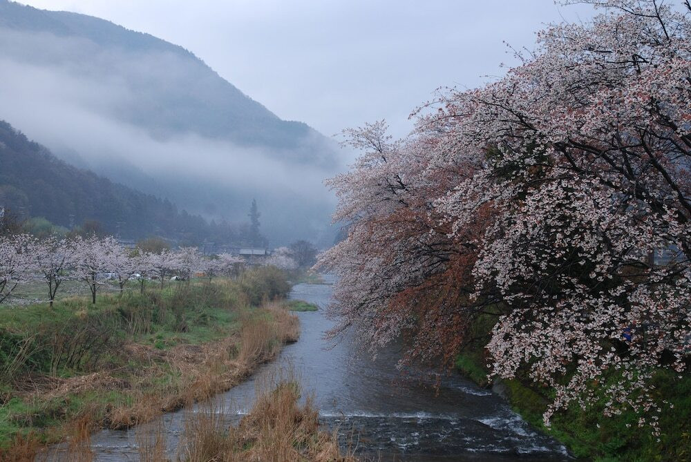マウンテン ビュー