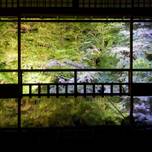 〈青もみじ×スイーツ×御朱印〉で心落ち着く。週末京都ひとり旅で行きたい場所♩