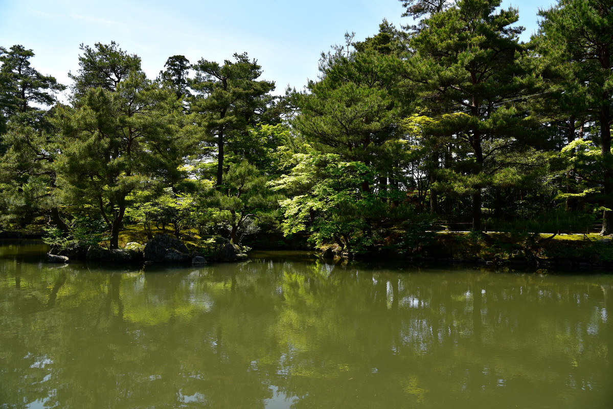 清水園の池