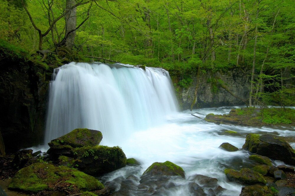 非日常を満喫♡りんごビュッフェ＆温泉＆森林浴を楽しめるリゾートホテル4087217