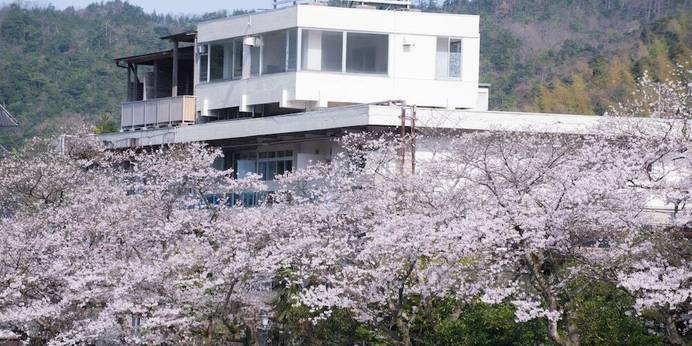 三朝温泉 自家源泉かけ流し露天風呂 清流荘（鳥取県 旅館） / 1