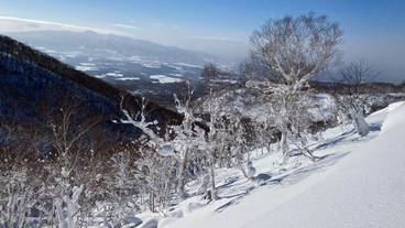 スノー スポーツとスキー / 21