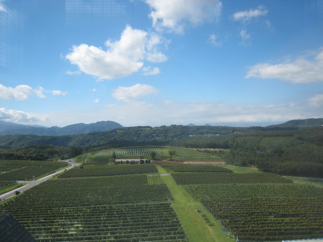 中伊豆ワイナリーヒルズ(静岡県)818291