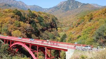 エコツアー / 11